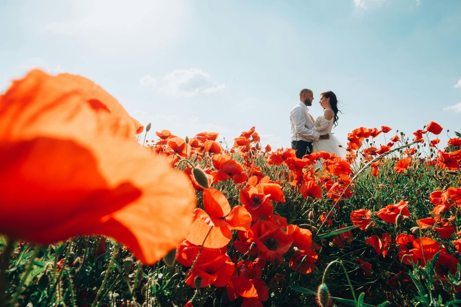 Vows