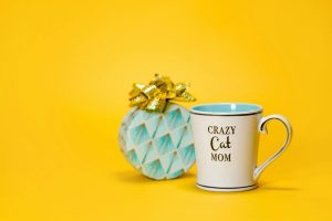 Gift Ideas