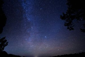 Zodiac Signs